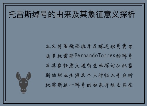 托雷斯绰号的由来及其象征意义探析