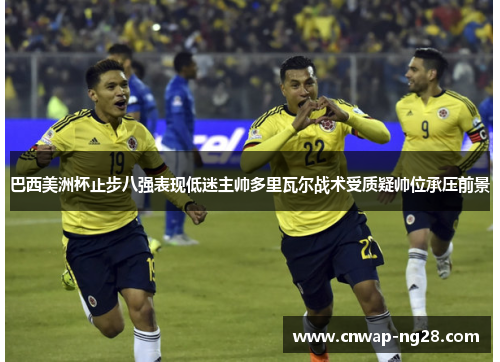巴西美洲杯止步八强表现低迷主帅多里瓦尔战术受质疑帅位承压前景 巴西美洲杯止步八强表现低迷主帅多里瓦尔战术受质疑帅位承压前景