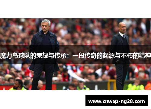 魔力鸟球队的荣耀与传承：一段传奇的起源与不朽的精神